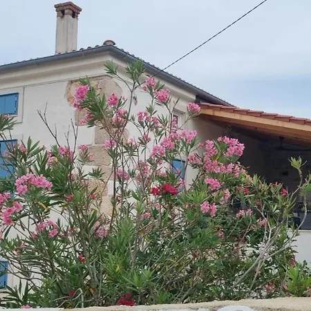 Mare - Island Krk, Traditional Stone House With Pool Kras