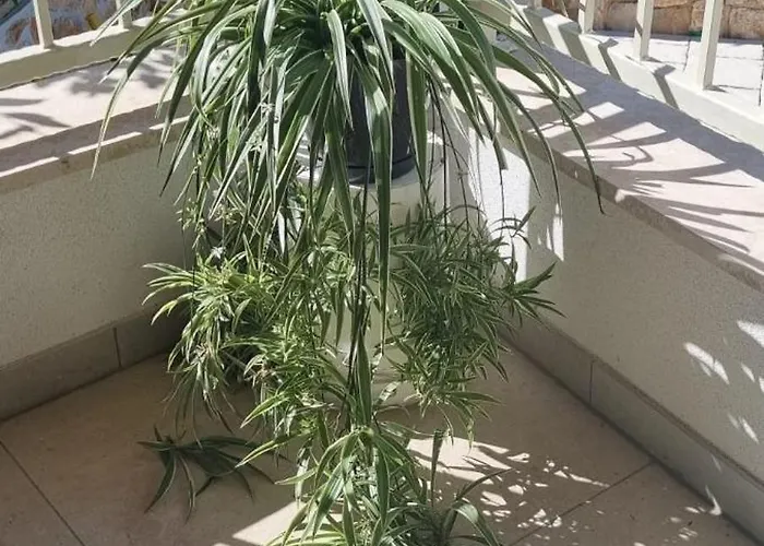 Willa Mare - Island Krk, Traditional Stone House With Pool *